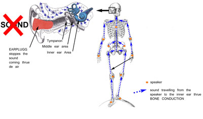 osseous conduction drawing